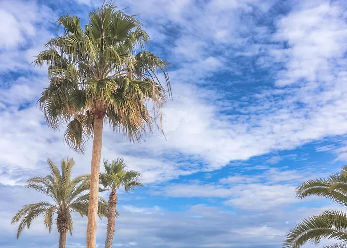 Costablancadreams Gran Sol In