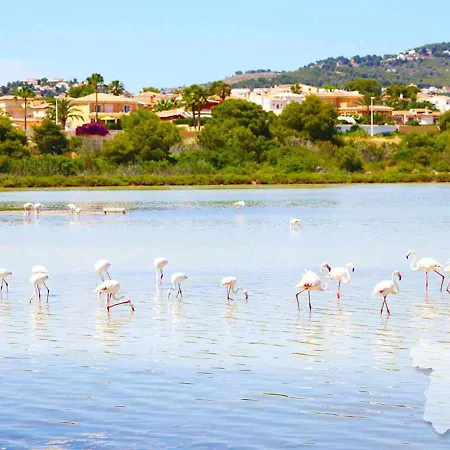 Costablancadreams Gran Sol In Apartment Calp