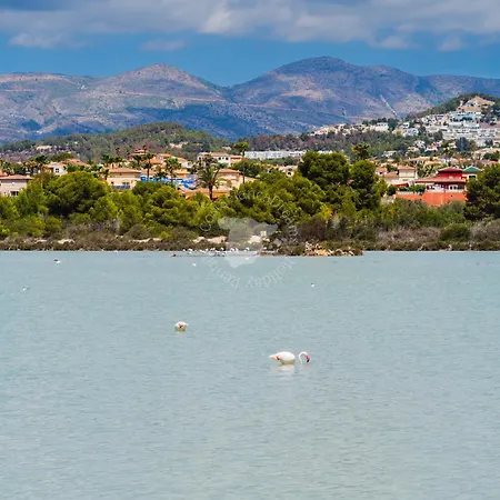 Costablancadreams Gran Sol In *